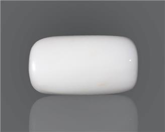 Natural White Coral  16.77 CTS (50371)